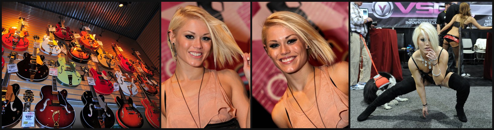Ash Hollywood photo collage (CC / public domain)