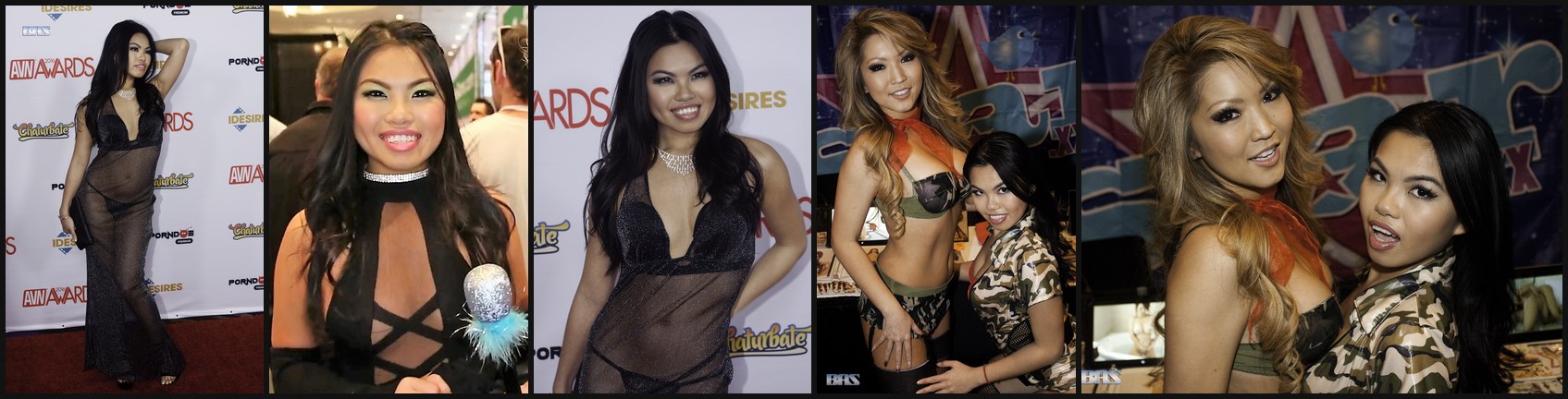Cindy Starfall photo collage (CC / public domain)
